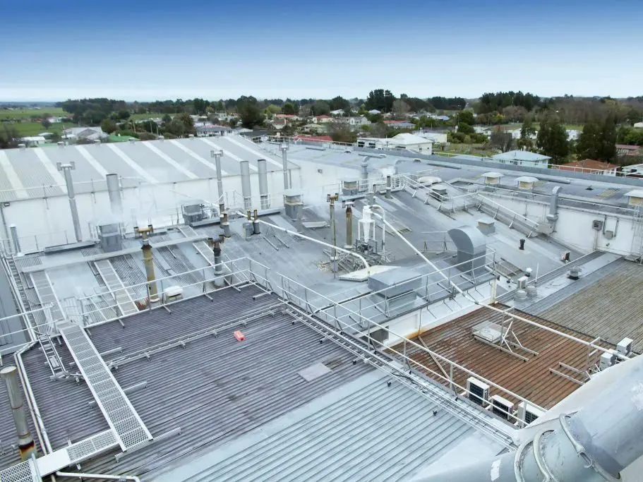 Monkeytoe NZ Nestle Marton 6