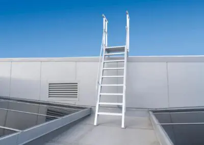 Monkeytoe NZ Ladders 10