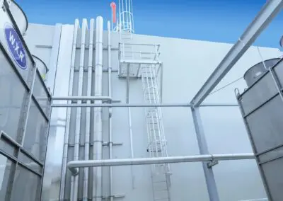 Monkeytoe NZ Ladders 13