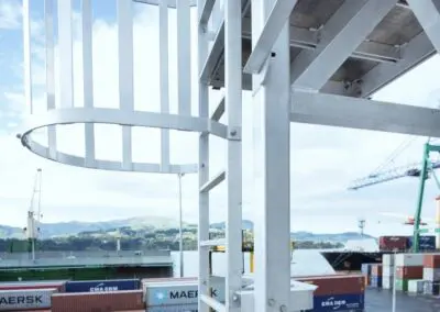Monkeytoe NZ Ladders 19