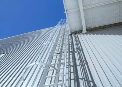 Monkeytoe NZ Ladders 2
