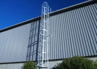 Monkeytoe NZ Ladders 5