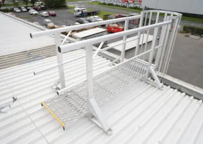 Ladders, Platforms and Walkway